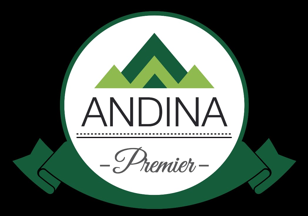 Andina