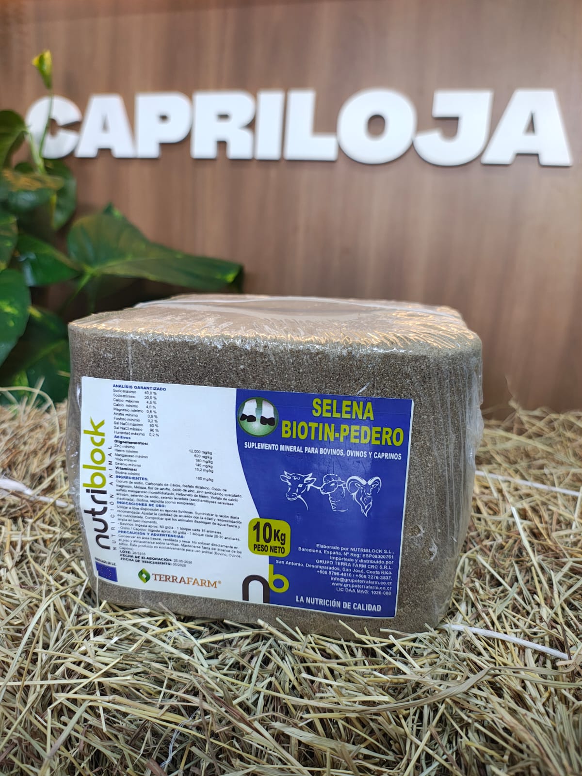 Selena Biotin-Pedero — Grupo Terra Farm