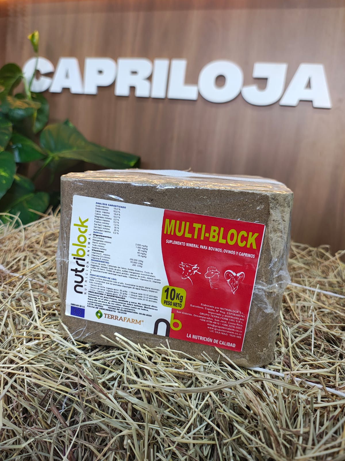Multi-Block — Grupo Terra Farm
