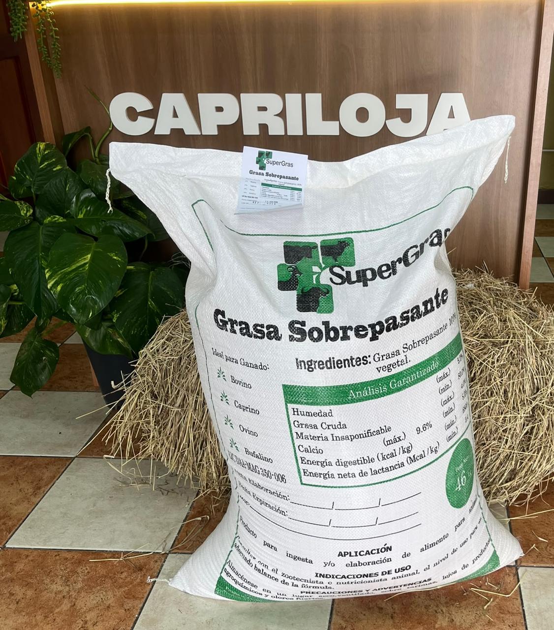 Grasa de sobrepaso