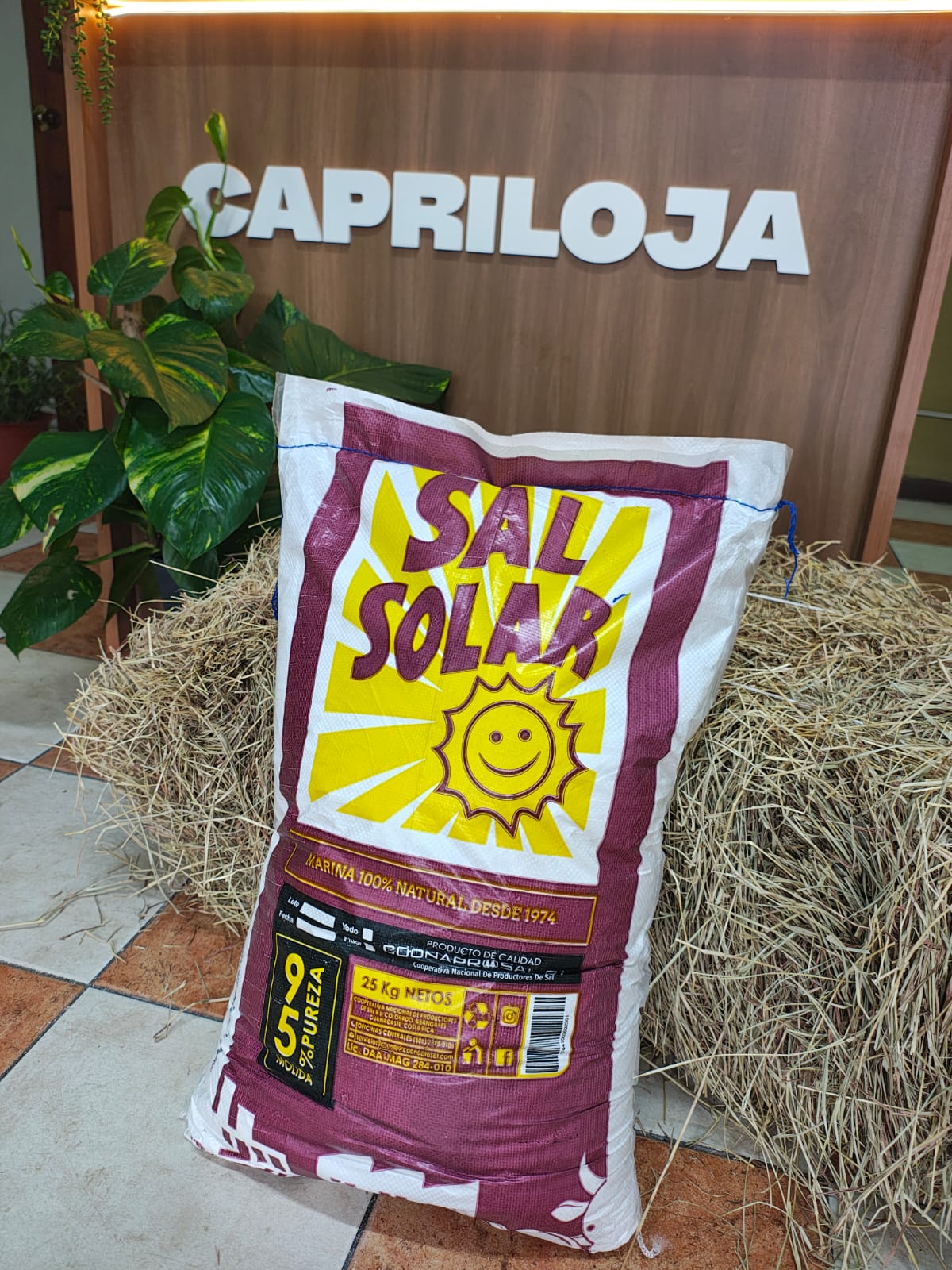 Sal blanca 95 % · 25 kg — Coonaprosal
